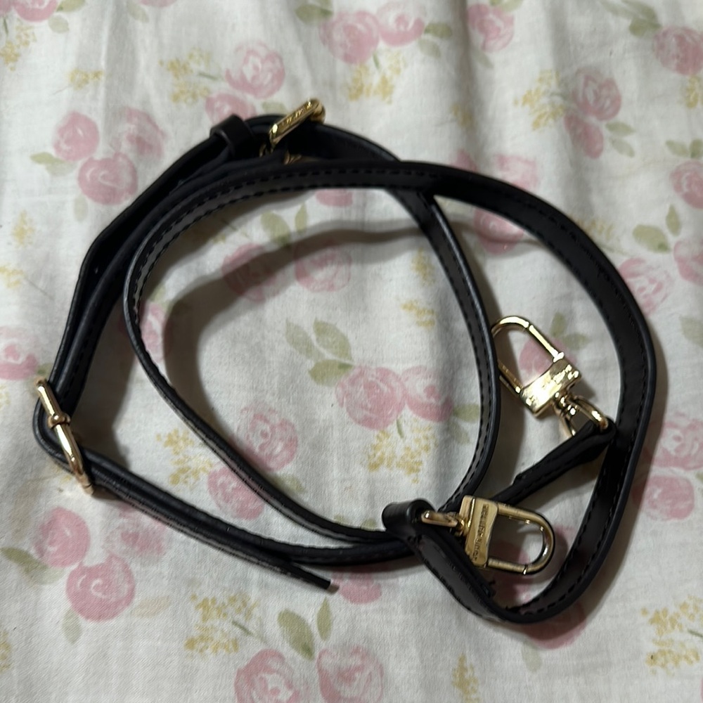 Dark brown and Gold Belt Accessory